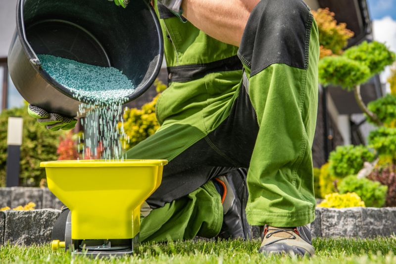 Healthy Lawn Maintenance