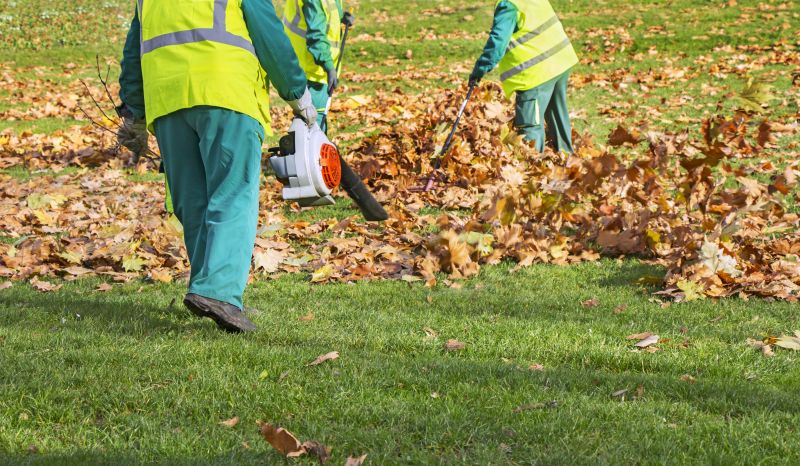 Leaf Clearing Service