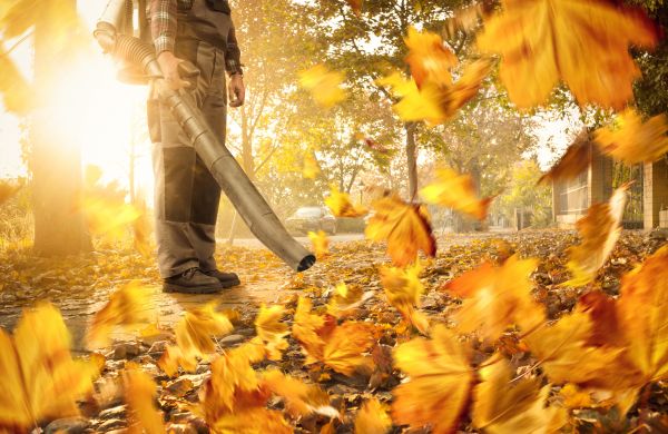 Cost of Leaf Blowing Service in Cherry Hill