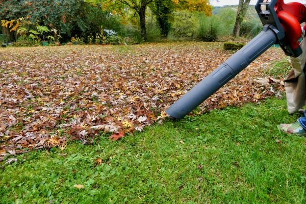 Cost of Leaf Vacuuming Service in Cherry Hill