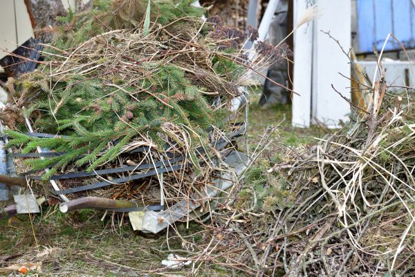 Cost of Yard Debris Removal in Cherry Hill
