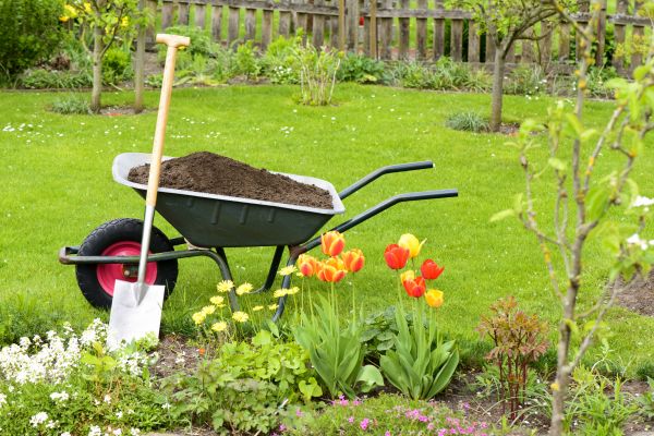 Cost of Spring Yard Cleanup in Cherry Hill