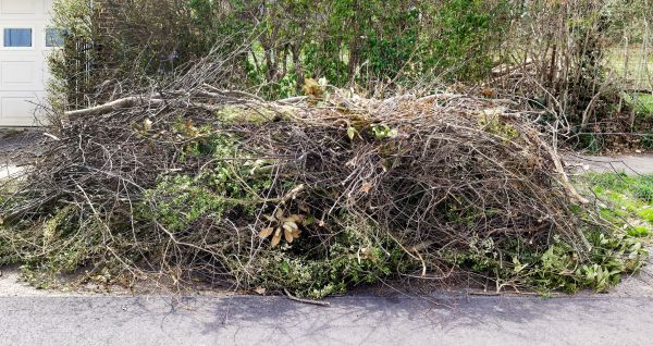 Cost of Tree Limb Cleanup in Cherry Hill