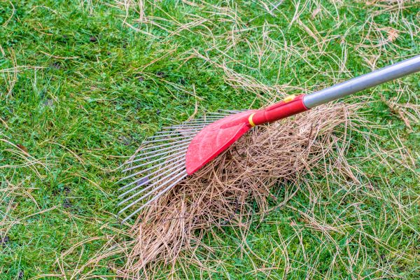 Cost of Yard Raking in Cherry Hill