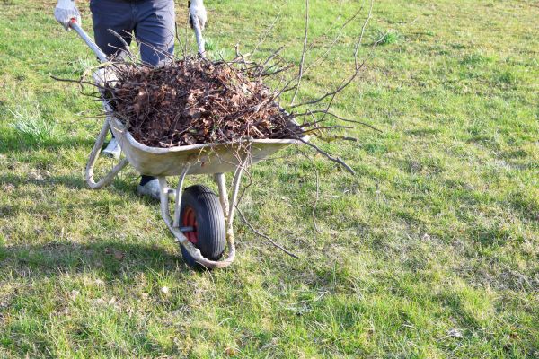 Cost of Yard Brush Removal in Cherry Hill