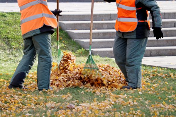 Cost of Leaf Hauling Service in Cherry Hill