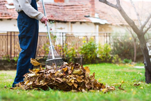 Cost of Spring Lawn Cleanup in Cherry Hill