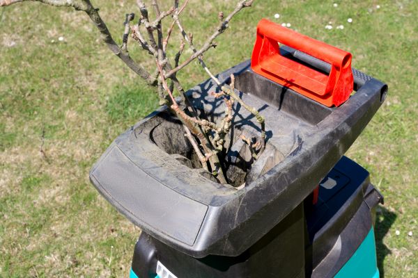 Cost of Brush Cleanup Service in Cherry Hill