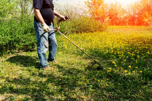 Cost of Yard Clearing Service in Cherry Hill