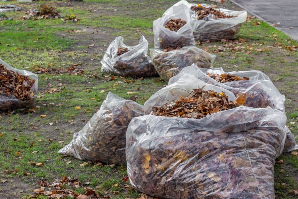 Cost of Leaf Pile Disposal in Cherry Hill